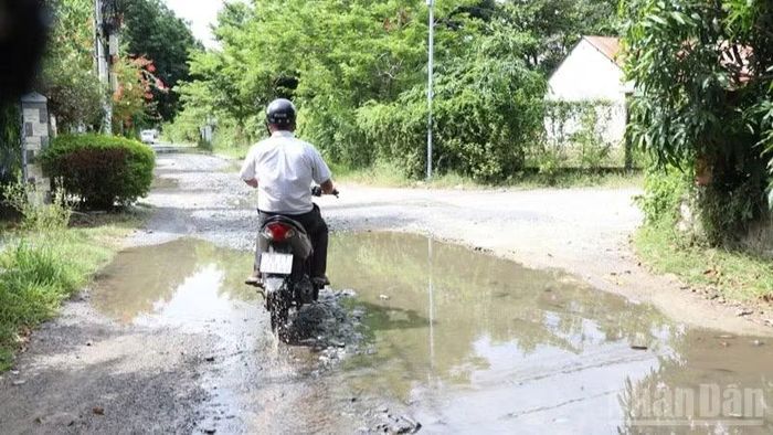  Trong khi chờ phương án đầu tư được triển khai, người dân vẫn phải sử dụng tuyến đường này để đi lại hằng ngày với nỗi lo nơm nớp. (Ảnh: NGUYỄN TRUNG) 