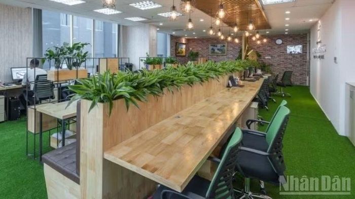Xu hướng văn phòng xanh đang ngày càng trở nên phổ biến. (Ảnh: CTV)