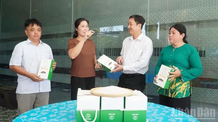 Lãnh đạo xã Vị Thanh 1 thăm và làm việc với Hợp tác xã Nông nghiệp và Dịch vụ Kiến Thành. (Ảnh: VĂN ÚT)
