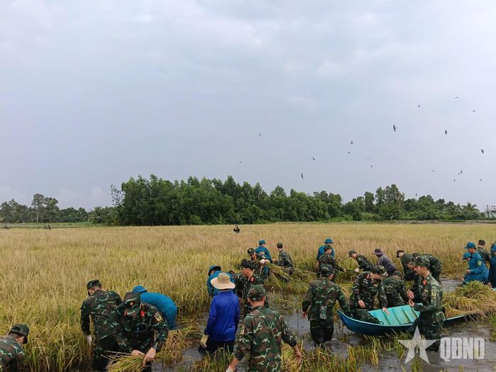 Giúp người dân góp phần thắt chặt tình cảm quân dân.