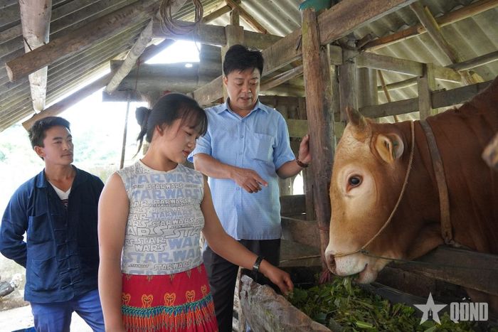 Lãnh đạo xã Khâu Vai cùng anh Thò Mí Xá thăm, nắm tình hình chăn nuôi của các hộ dân thôn Cán Chu Phìn. 