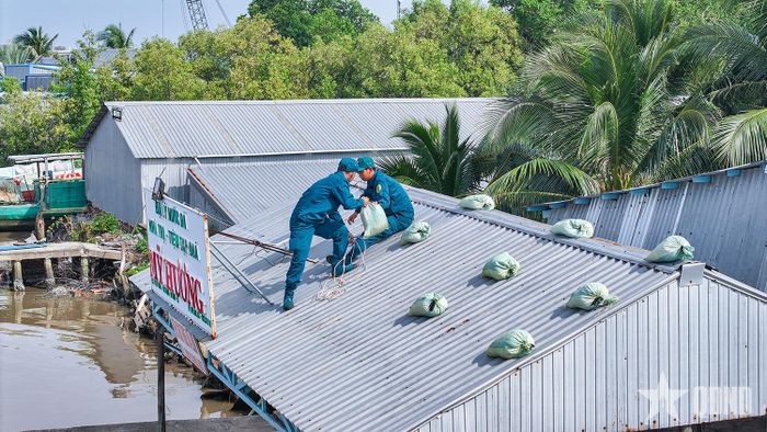 Lực lượng dân quân xã Tân Thạnh (An Giang) hỗ trợ nhân dân chằng chống nhà cửa trước bão.