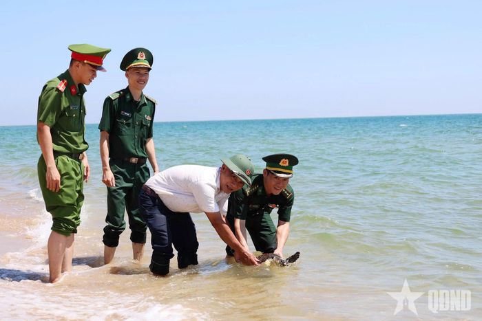 Bộ đội Biên phòng tỉnh Quảng Ngãi phối hợp tổ chức thả cá thể đồi mồi về môi trường tự nhiên. 
