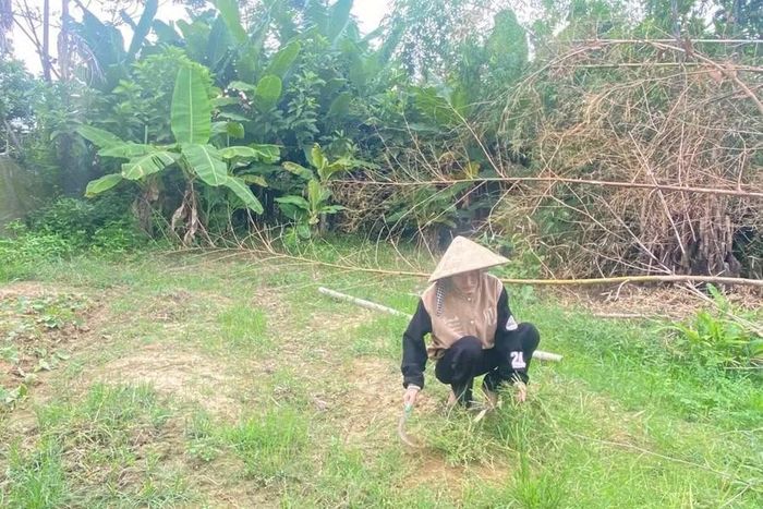 Sau những giờ chăm bố, chị em Hiền lại về nhà tranh thủ mọi việc của người lớn.