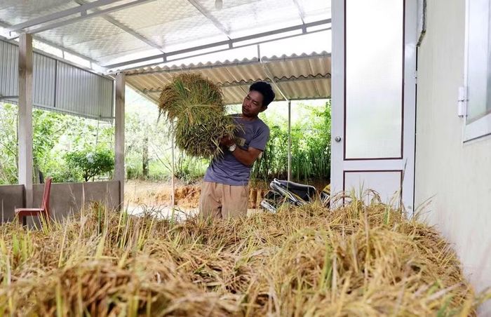 Nhờ áp dụng các phương pháp khoa học nên việc sản xuất của đồng bào Chứt đạt hiệu quả cao.