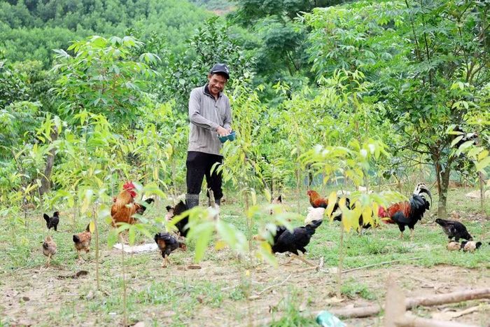 Đời sống của đồng bào Chứt ngày càng được cải thiện, góp phần hiệu quả trong công tác giảm nghèo.
