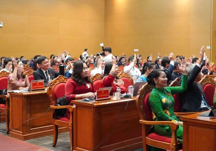 Các đại biểu biểu quyết thông qua nghị quyết.