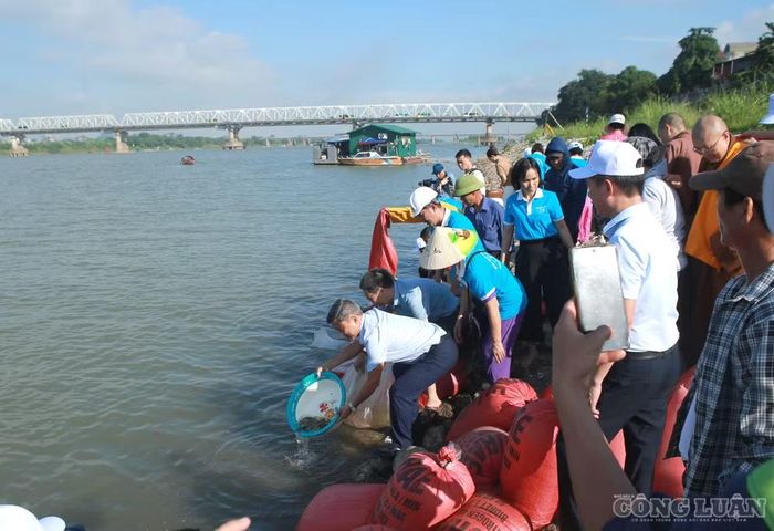Hình ảnh thả cá sáng 30/9.