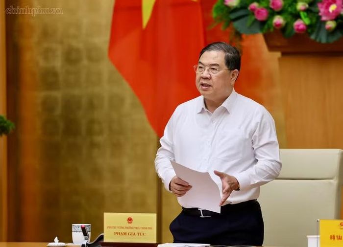 Phó Thủ tướng Thường trực Chính phủ Phạm Gia Túc phát biểu kết luận cuộc họp của Ban Chỉ đạo - Ảnh: CP