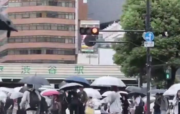 Tokyo trải qua 35 ngày mưa liên tiếp, khiến giá rau tăng và người dân mệt mỏi vì thiếu nắng. Ảnh chụp màn hình