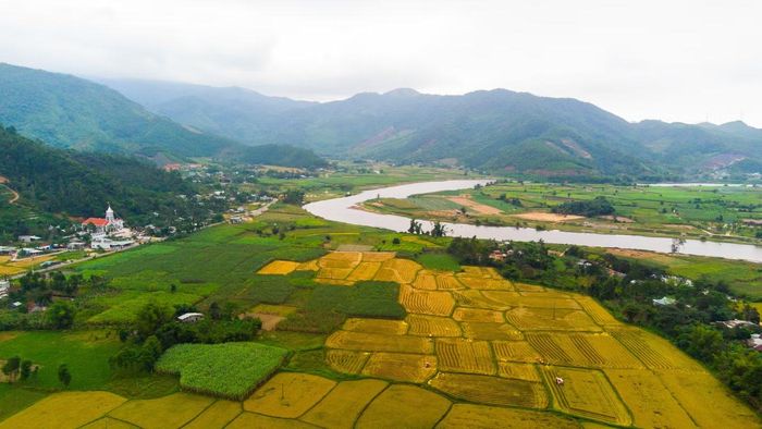Cộng đồng đang cùng chung tay giữ dòng Cu Đê, giữ gìn nguồn nước cho cả TP Đà Nẵng.