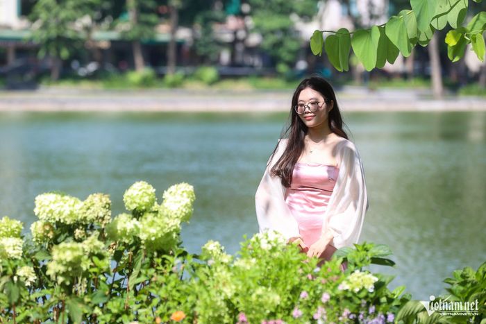 Hồ Gươm những ngày này cũng được trang điểm nhiều hoa tươi để chuẩn bị kỷ niệm ngày giải phóng Thủ đô 10/10.