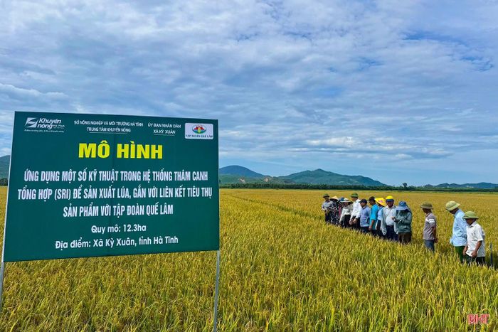  Hạ tầng đồng ruộng được đầu tư đồng bộ tạo điều kiện thuận lợi để triển khai ứng dụng tiến bộ khoa học kỹ thuật vào sản xuất. Ảnh tư liệu 