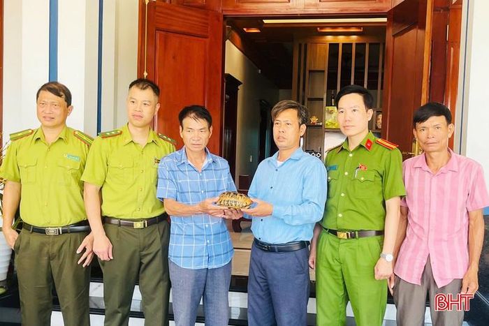 Lực lượng chức năng tiếp nhận rùa quý để chăm sóc, thả về môi trường tự nhiên.