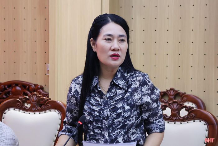 Phó Chủ tịch HĐND tỉnh Nguyễn Thị Việt Hà phát biểu tại cuộc làm việc.
