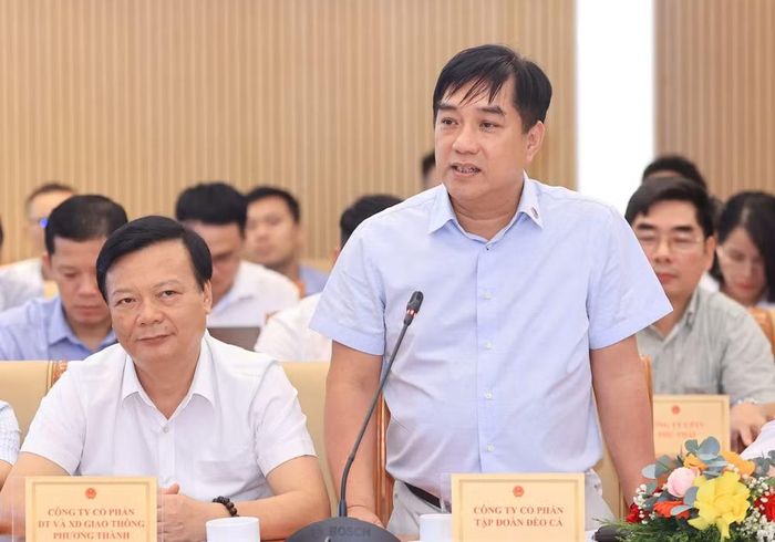 Ông Hồ Minh Hoàng, Chủ tịch Hội đồng quản trị Tập đoàn Đèo Cả. (Ảnh: PV/Vietnam+)