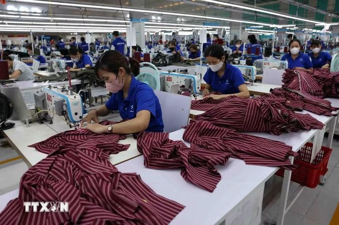 May hàng xuất khẩu sang thị trường châu Âu tại nhà máy của Công ty TNHH SangWoo Việt Nam, Khu công nghiệp VSIP Nghệ An. (Ảnh: Vũ Sinh/TTXVN)