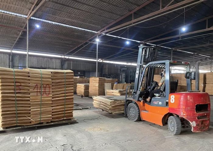 Sản xuất ván ép tại Công ty Cổ phần Xây dựng và Thương mại Thái Hoàng, Khu công nghiệp Nam Quang, xã Vĩnh Tuy, tỉnh Tuyên Quang. (Ảnh: Minh Tâm/TTXVN)