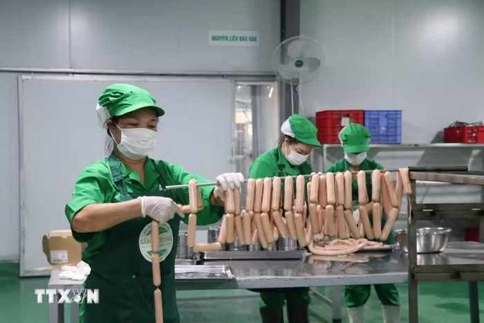 Cơ sở chế biến thực phẩm theo hình thức từ “Trang trại đến bàn ăn” tại xã Đông Thọ, Tuyên Quang. (Ảnh: Hoàng Hải/TTXVN)