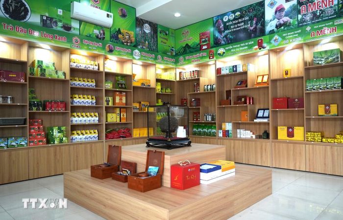 Các sản phẩm trà Shan tuyết và đặc sản OCOP của tỉnh Tuyên Quang được giới thiệu, quảng bá, từng bước mở rộng thị trường và nâng cao giá trị nông sản địa phương. (Ảnh: Minh Tâm/TTXVN)
