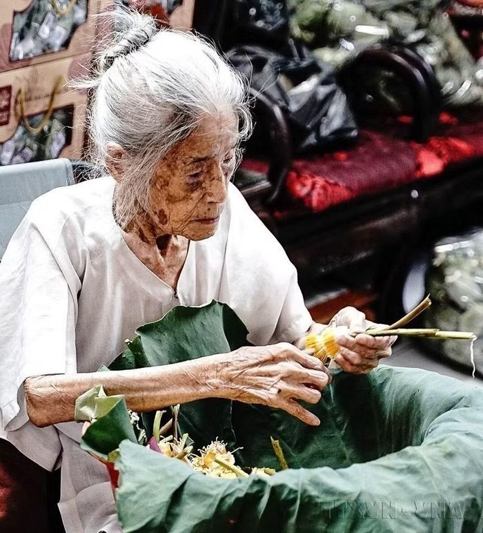 Cụ Nguyễn Thị Dần - nghệ nhân ướp trà sen cao tuổi nhất ở Quảng Bá, quận Tây Hồ (Hà Nội) tỉ mỉ, cặm cụi với công việc đã gắn bó với mình suốt từ tuổi đôi mươi (2024) (Ảnh: Khánh Hòa/TTXVN)