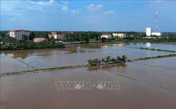 Ngành chức năng cảnh báo triều cường tiếp tục làm chậm quá trình thoát lũ trên hệ thống sông, vì vậy các vùng thấp ven sông, ngoài đê bao có nguy cơ ngập nặng kéo dài.