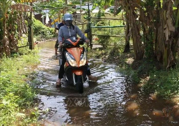Việc đi lại, vận chuyển hàng hóa, nông sản gặp nhiều khó khăn do ngập lũ.