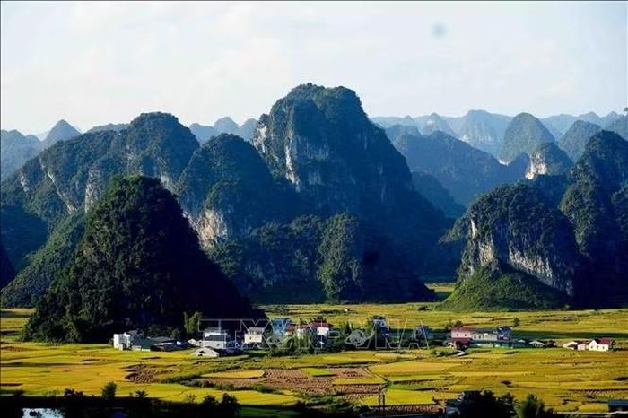 Những cánh đồng Ngọc Côn mùa thu được khoác lên mình tấm áo vàng rực rỡ.