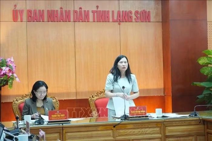 Phó Chủ tịch UBND tỉnh Lạng Sơn Trần Thanh Nhàn phát biểu tại buổi làm việc. Ảnh: Tiến Vĩnh/TTXVN