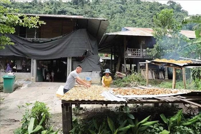 Dân số bản Nà Hừ ngày một tăng trong khi quỹ đất hạn hẹp bởi phía sau là Quốc lộ 4H, phía trước là dòng suối khiến cho không gian sinh hoạt vô cùng chật hẹp.