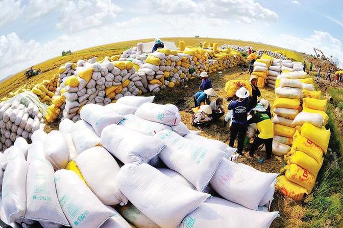 Quy định mới đơn giản hóa thủ tục xuất khẩu gạo, giảm giấy tờ và rút ngắn thời gian xử lý hồ sơ cho doanh nghiệp.