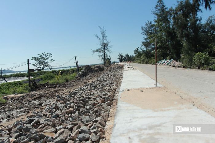 Dự án tập trung vào các hạng mục cốt lõi như sửa chữa mái đê, xây lại tường chắn sóng, gia cố nền đê và làm mới mặt đê bằng bê tông cốt thép…