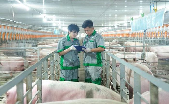 Lợi nhuận sau thuế 6 tháng đầu năm 2026 của Nông nghiệp BAF Việt Nam giảm 9,6%, xuống còn 309 tỷ đồng (Ảnh: BAF).