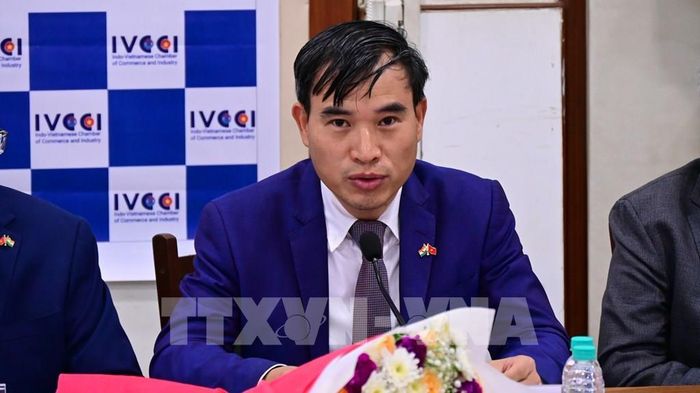Tham tán Thương mại, Trưởng Thương vụ Việt Nam tại Ấn Độ Bùi Trung Thướng đề xuất nhiều giải pháp. Ảnh: Vũ Hà – PV TTXVN tại Ấn Độ