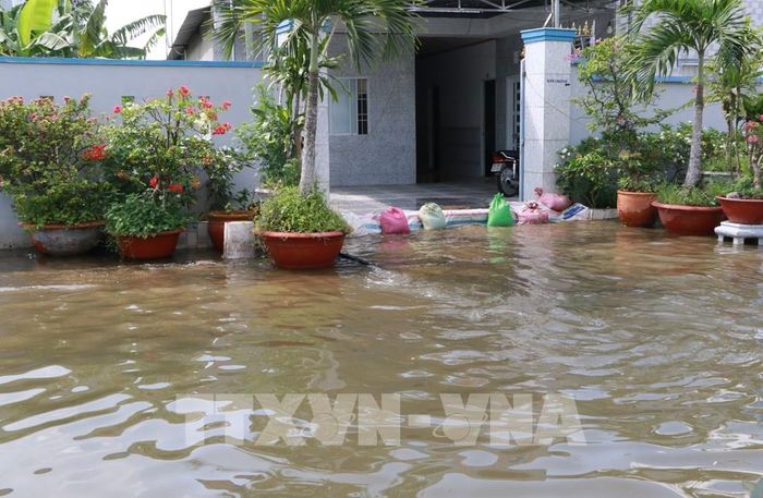 Một nhà dân ở phường Sa Đéc (Đồng Tháp) dùng bao cát chặn nước triều. Ảnh: Hồng Thái - TTXVN