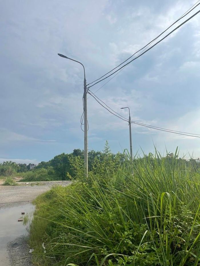 Hiện trạng khu đất dịch vụ với cỏ mọc um tùm, hệ thống điện chiếu sáng đã được lắp đặt, vỉa hè đươcj lát gạch, đường được trải nhựa.