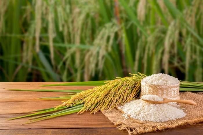 Giá gạo trong nước ít biến động