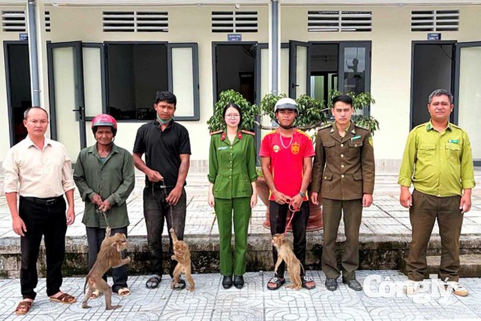 Hộ dân bàn giao các cá thể khỉ cho đơn vị chức năng xã Đam Rông 3 và lực lượng kiểm lâm khu vực Đam Rông.