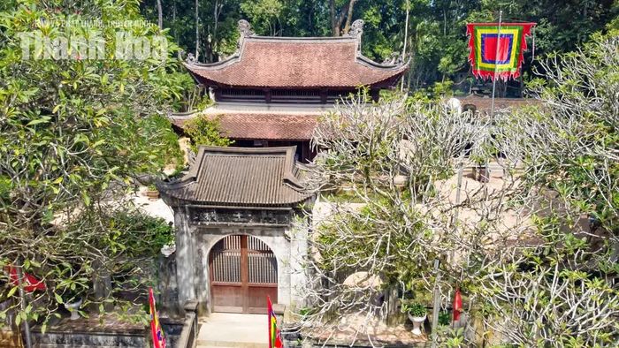 Ngay cổng chính dẫn vào đền là hai cây đại lớn, được cho là có tuổi đời hàng trăm năm, đã được xếp hạng Cây di sản Việt Nam.