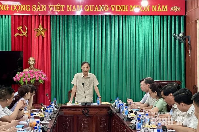 Phó Chủ tịch UBND tỉnh Đầu Thanh Tùng phát biểu tại buổi họp
