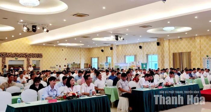 Các đại biểu tham dự hội nghị.