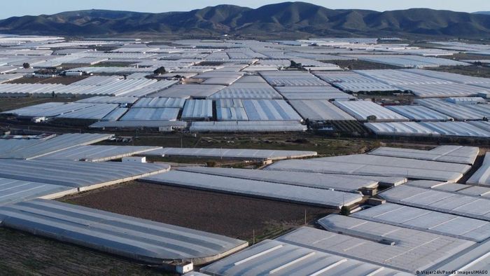 “Biển nhà kính” ở Almeria là một vùng rộng lớn phủ kín bởi các nhà kính bằng nhựa, đóng vai trò quan trọng đối với ngành nông nghiệp Tây Ban Nha. Ảnh: Viajar24h/Pond5 Images/IMAGO