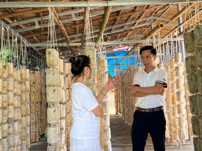 Ông Ngô Văn Nam trưởng phòng  Văn hóa - xã hội xã Hương Cần trao đổi với phóng viên về mô hình phát triển du lịch sinh thái nông nghiệp tại địa phương Ảnh: Huỳnh Dũng