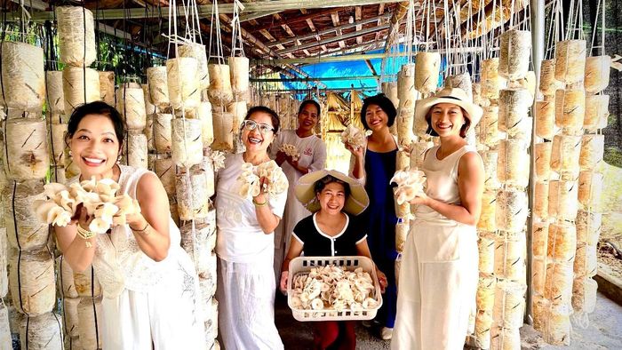 Du khách du lịch trải nghiệm tại trại cơ sở trồng nấm trong dân do Công ty cổ phần Nấm 3F chuyển giao công nghệ và bao tiêu sản phẩm. Ảnh: Huỳnh Dũng