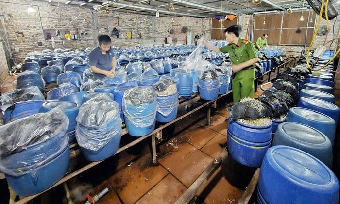Công an kiểm tra cơ sở sản xuất giá đỗ vi phạm ở phường Nếnh. Ảnh: Việt Hà.
