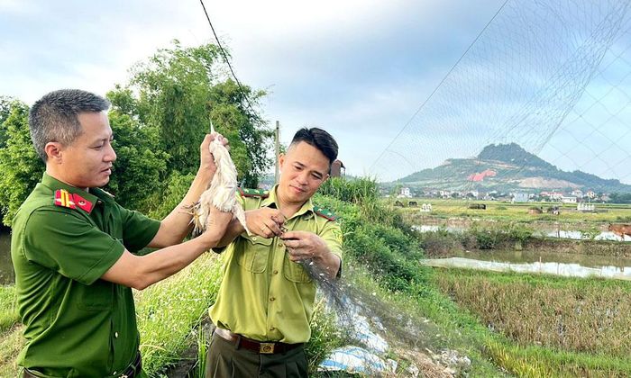  Lực lượng chức năng đang tháo gỡ lưới. 