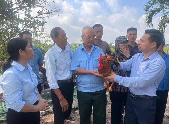 Cán bộ Trung tâm Khuyến nông thành phố trao đổi với bà con phường Hiệp Hòa về việc áp dụng quy trình chăn nuôi tiêu chuẩn VIETGAHP.