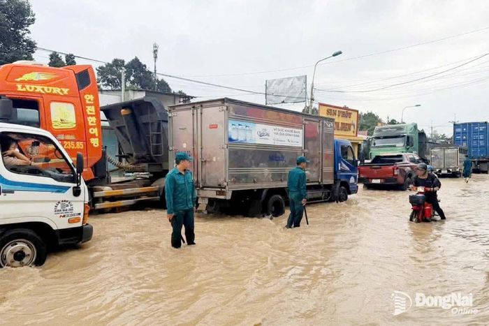 Mưa lớn gây ngập cục bộ đường ĐT.769 đoạn qua phường Long Thành trong sáng 30-9. Ảnh: CTV