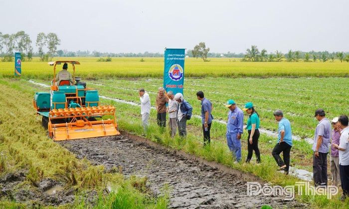 Đại biểu xem trình diễn mô hình xới vùi rơm rạ kết hợp sử dụng chế phẩm vi sinh.