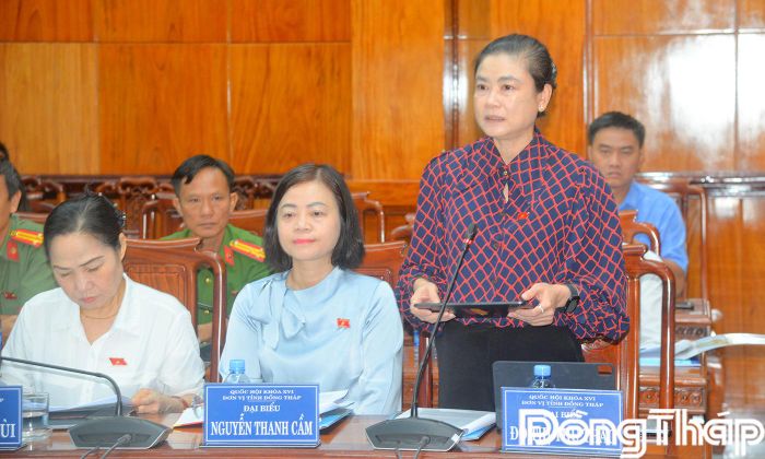 Đại biểu Đỗ Thị Thu Thảo, Đoàn ĐBQH tỉnh Đồng Tháp phát biểu tại buổi làm việc.